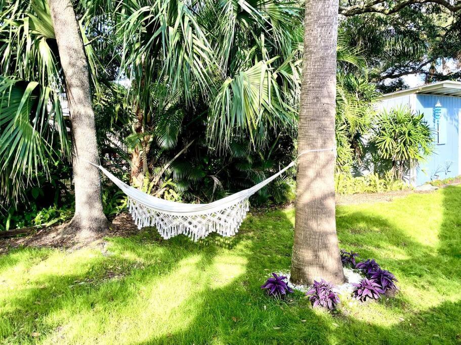 Cozy Sanctuary Minutes From The Bay And Beaches タンパ エクステリア 写真