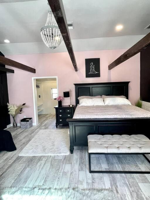 Cozy Sanctuary Minutes From The Bay And Beaches タンパ エクステリア 写真
